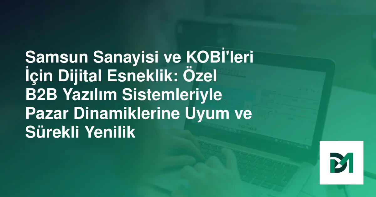 Samsun Sanayisi ve KOBİ'leri İçin Dijital Esneklik: Özel B2B Yazılım Sistemleriyle Pazar Dinamiklerine Uyum ve Sürekli Yenilik