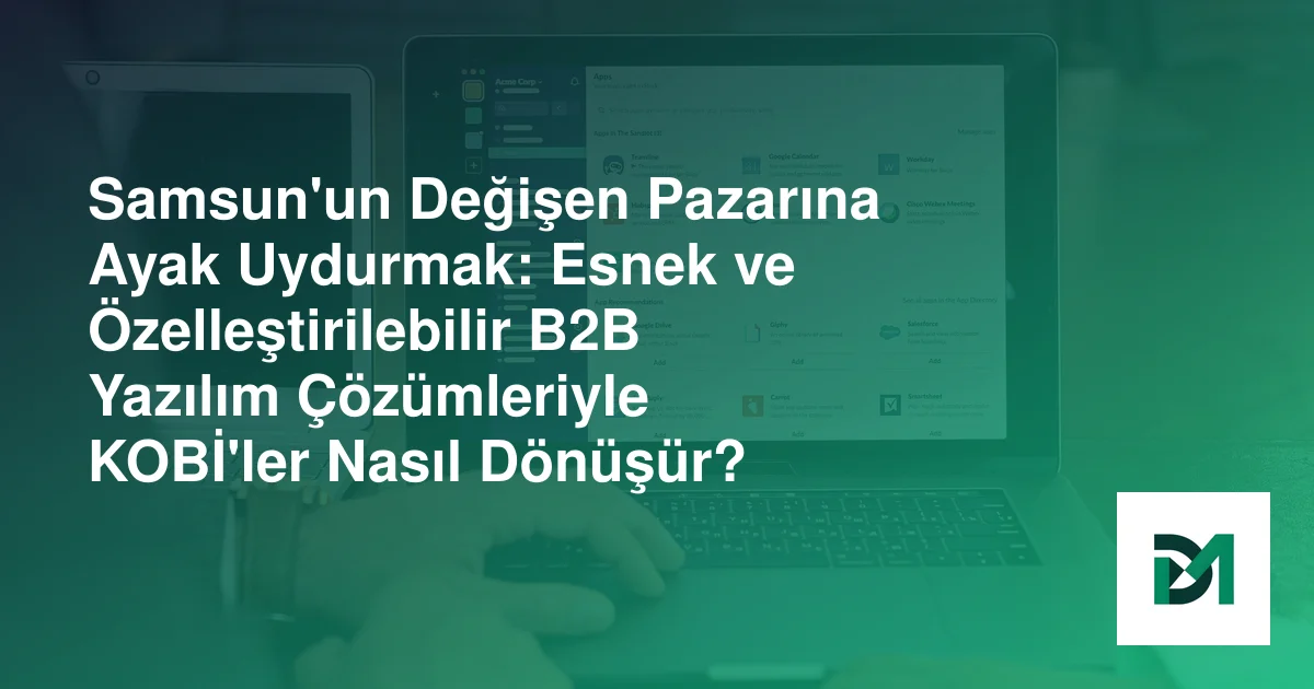 Samsun'un Değişen Pazarına Ayak Uydurmak: Esnek ve Özelleştirilebilir B2B Yazılım Çözümleriyle KOBİ'ler Nasıl Dönüşür?