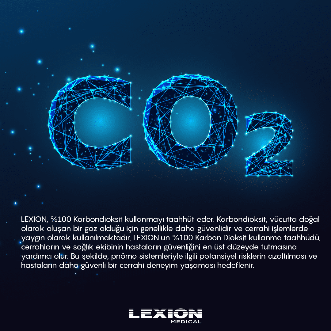 Lexion Brand Design