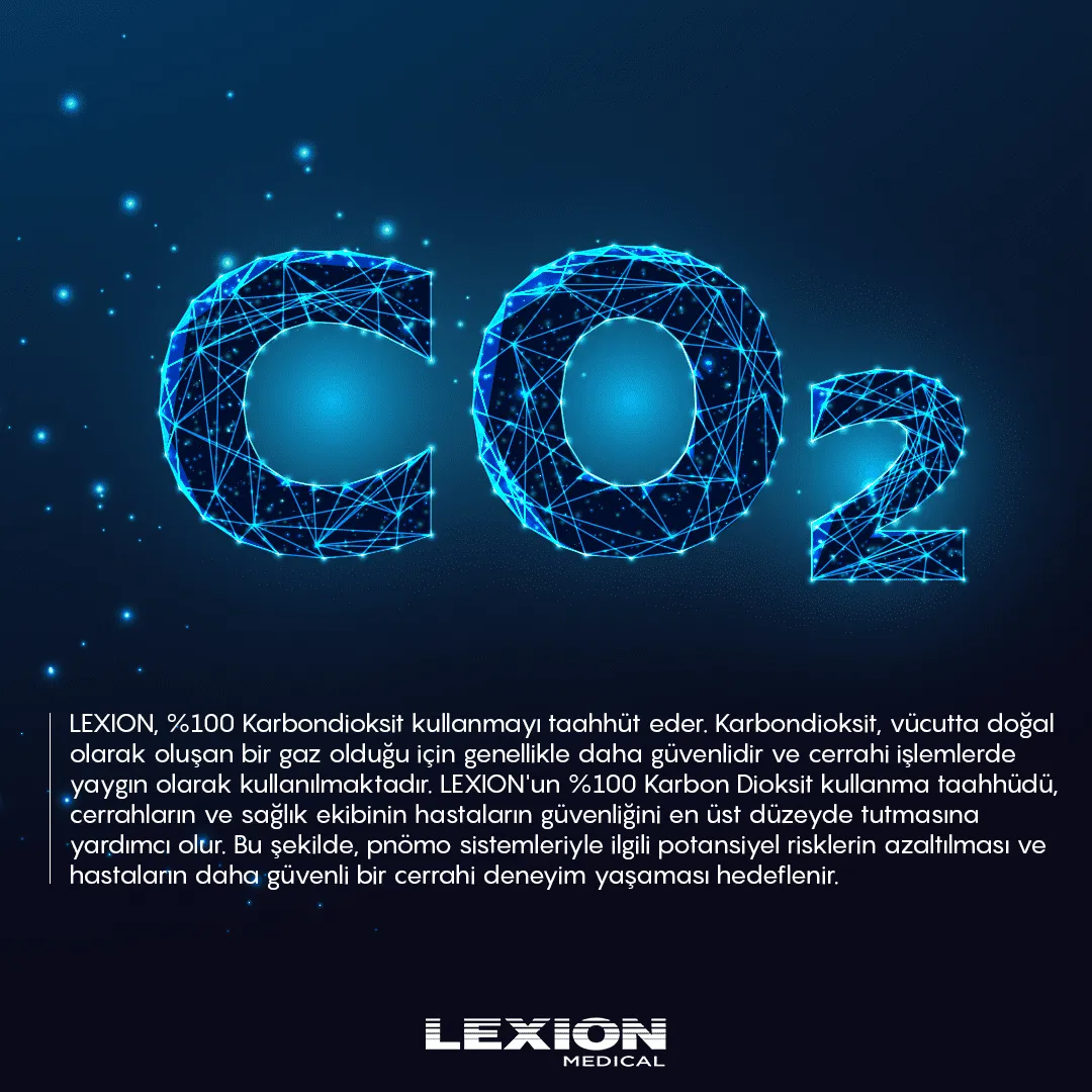 Lexion Brand Design