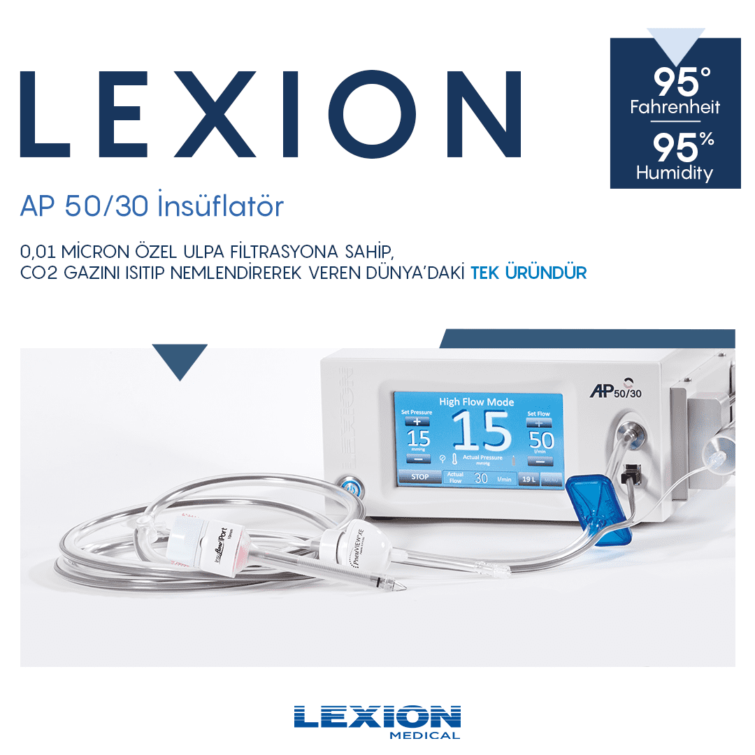 Lexion Social Media Post Design